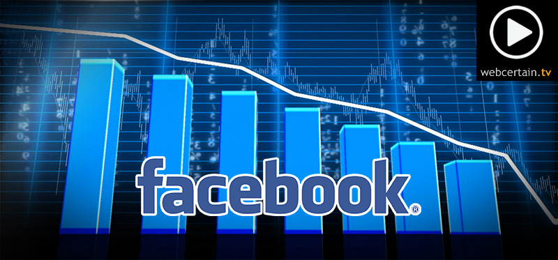 Facebook Suffers Revenue Drop